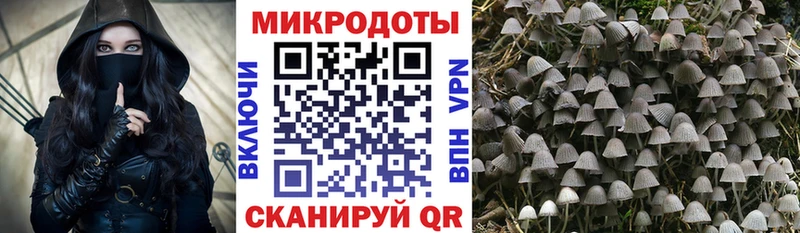 Псилоцибиновые грибы MAGIC MUSHROOMS  Купить  Волчанск 